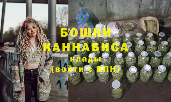 spice Каменка