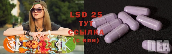 ГАЛЛЮЦИНОГЕННЫЕ ГРИБЫ Алексеевка