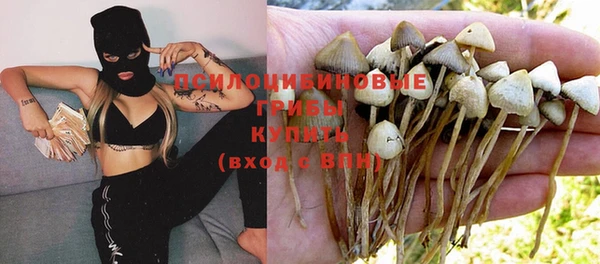 прущая мука Алексин