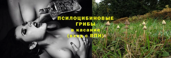 прущая мука Алексин