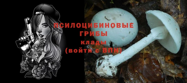 прущая мука Алексин