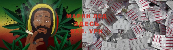 ГАЛЛЮЦИНОГЕННЫЕ ГРИБЫ Алексеевка